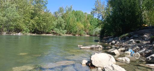 عکس باغ بهادران