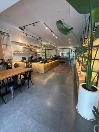 عکس قهوه هوفر