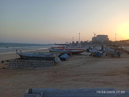 عکس بوستان زیتون