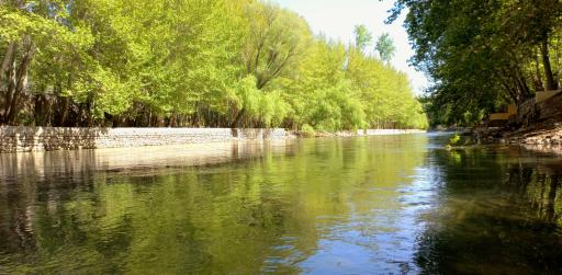 عکس باغبادران