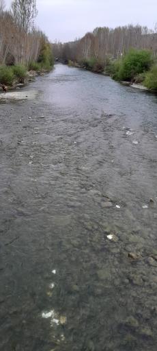 عکس باغبادران