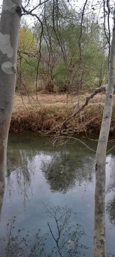 عکس باغ بهادران