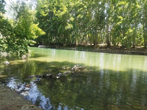 عکس باغ بهادران