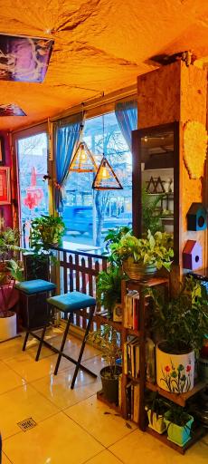 عکس کافه چوب 