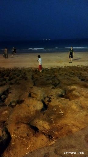 عکس بوستان زیتون