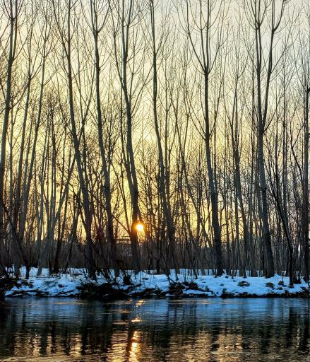 عکس باغ بهادران