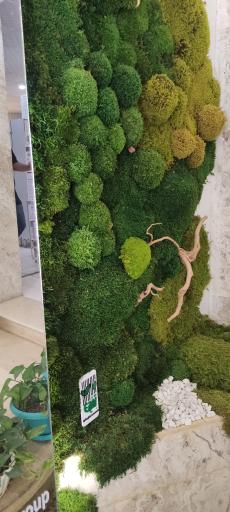 عکس شیراز آکواریوم