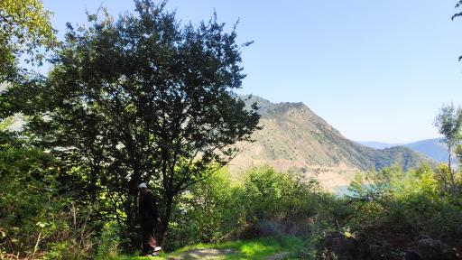 عکس سد شهید رجایی سلیمان تنگه