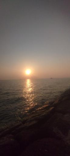 عکس بوستان زیتون