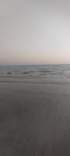 عکس بوستان زیتون