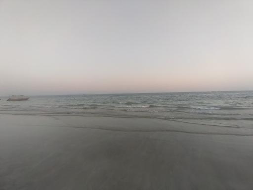 عکس بوستان زیتون