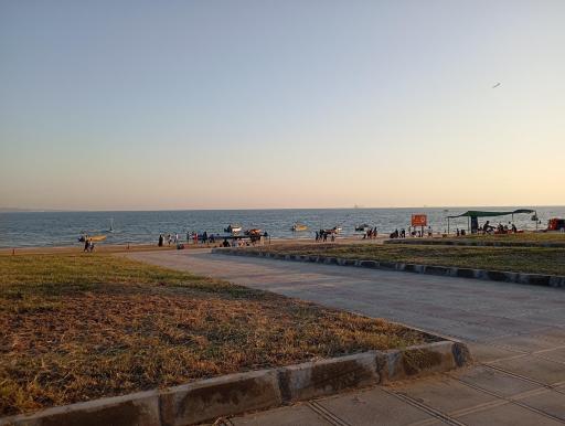 عکس بوستان زیتون