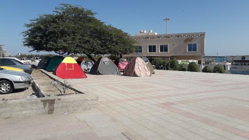 عکس بوستان زیتون