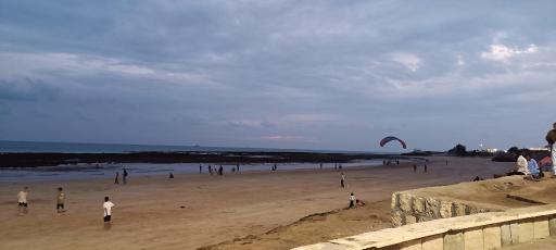 عکس بوستان زیتون