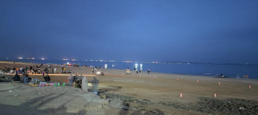 عکس بوستان زیتون