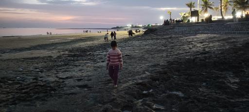 عکس بوستان زیتون