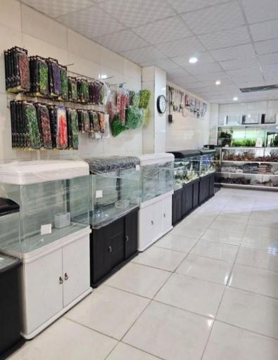 عکس شیراز آکواریوم