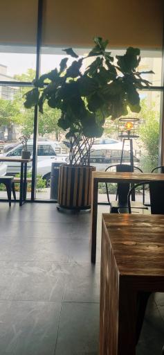عکس قهوه هوفر