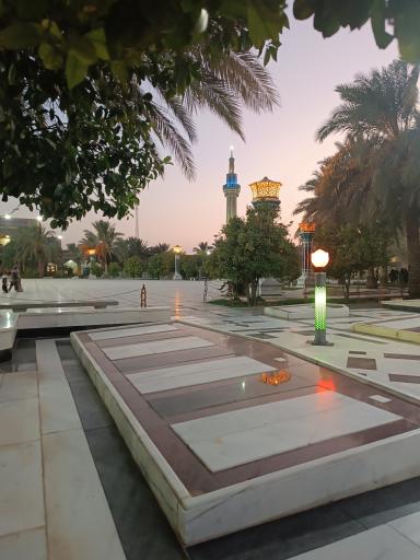 عکس طبس