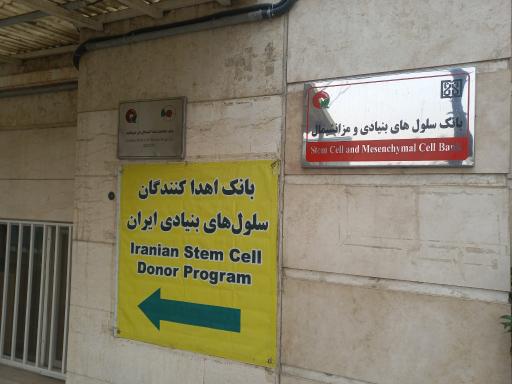 عکس مرکز تحقیقات پزشکی بازساختی و سلول درمانی