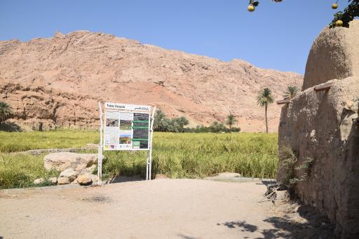 عکس طبس