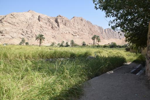 عکس طبس