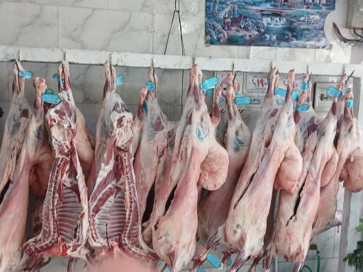 عکس سوپر گوشت بینالود قمری