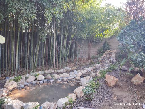 عکس باغ عکاسی بامبو