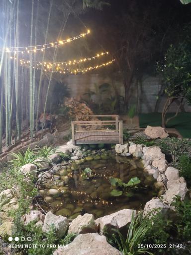 عکس باغ عکاسی بامبو