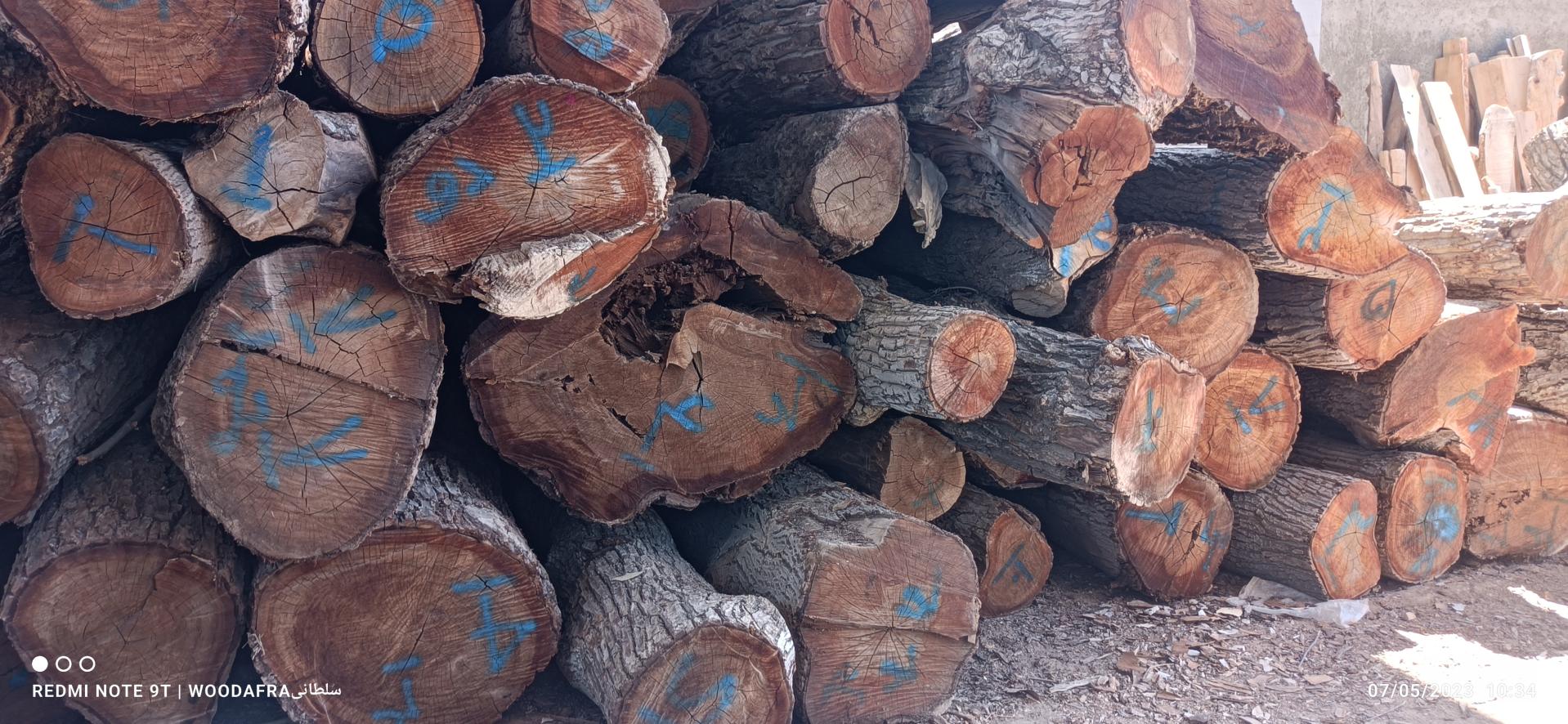 عکس صنایع چوبی افرا