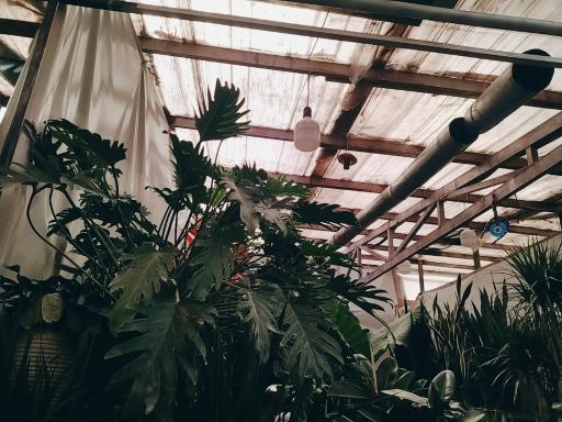 عکس بازار گل و گیاه غرب تهران