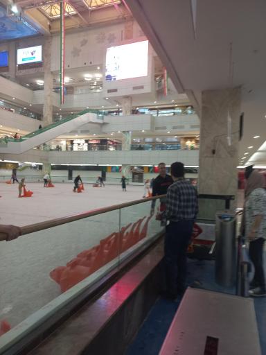 عکس پاتیناژ پدیده شاندیز (اسکیت روی یخ)