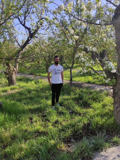 عکس پارک امیرکبیر امیریه