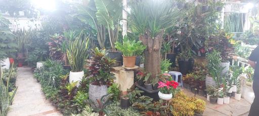 عکس بازار گل و گیاه غرب تهران