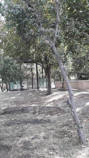 عکس پارک امیرکبیر امیریه