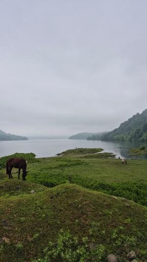 عکس اقامتگاه بومگردی کیوتی کاتیج