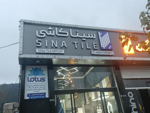 عکس سینا کاشی