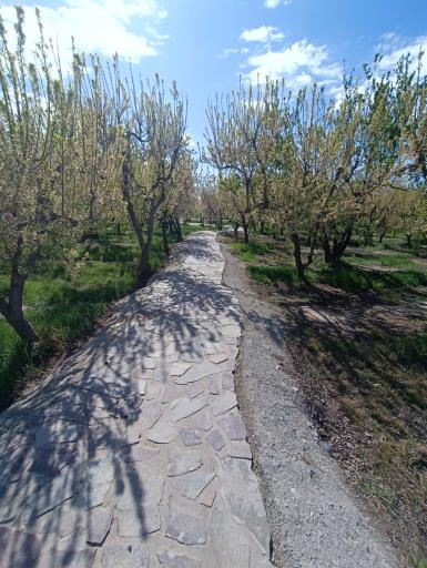 عکس پارک امیرکبیر امیریه