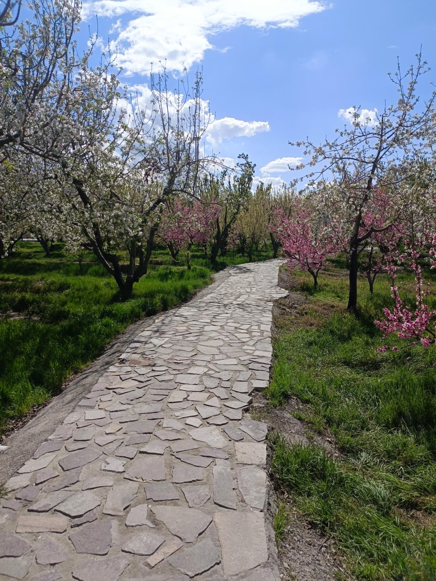 عکس پارک امیرکبیر امیریه