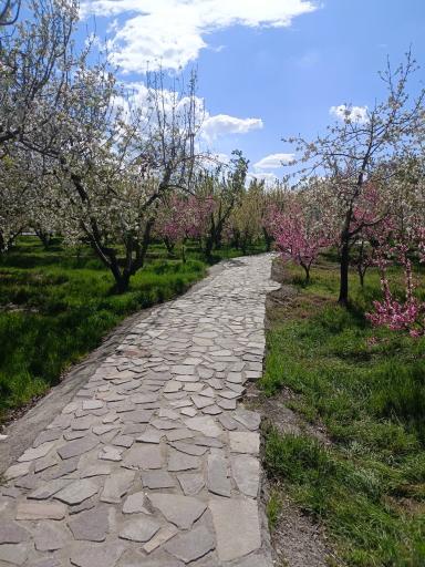 عکس پارک امیرکبیر امیریه