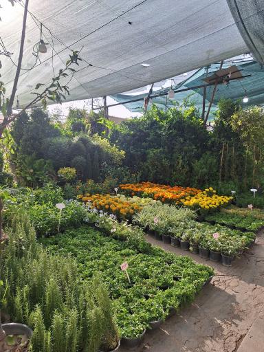 عکس بازار گل و گیاه غرب تهران