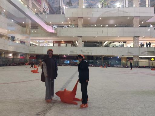 عکس پاتیناژ پدیده شاندیز (اسکیت روی یخ)