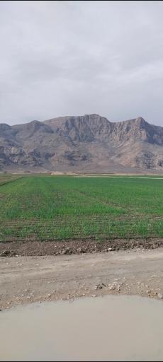 عکس قره بلاغ