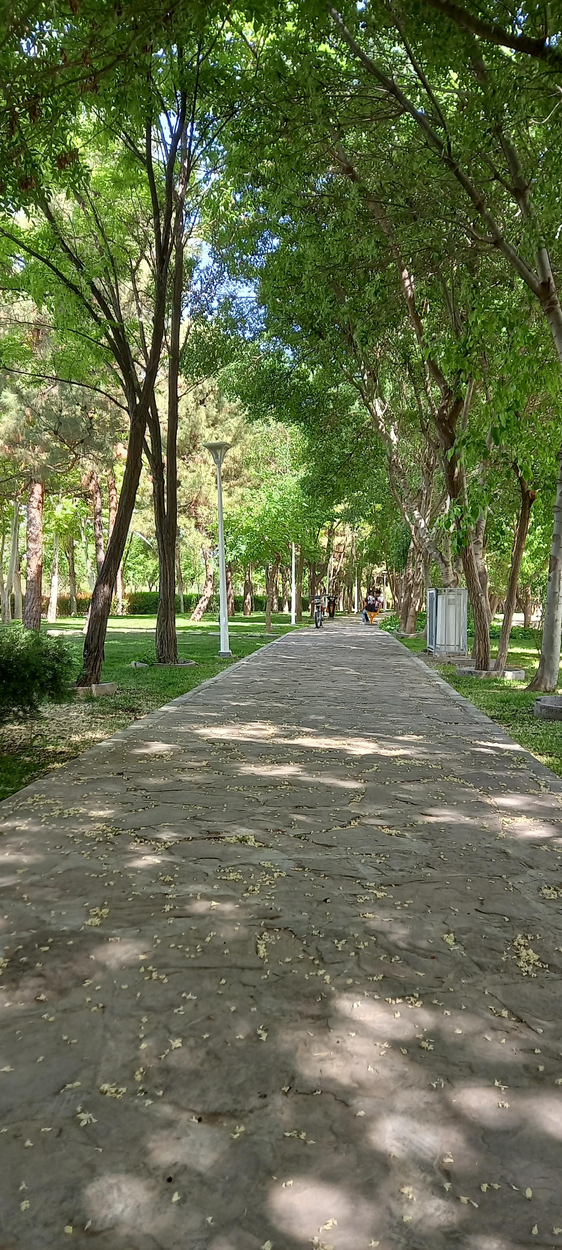 عکس ورودی پارکینگ عمومی شماره ۵ بوستان بهار