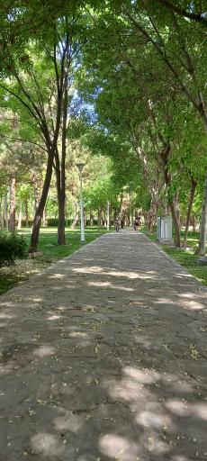 عکس ورودی پارکینگ عمومی شماره ۵ بوستان بهار