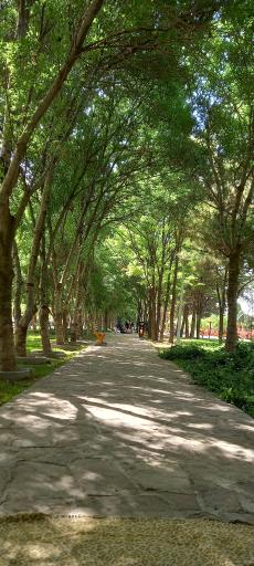 ورودی پارکینگ عمومی شماره ۵ بوستان بهار