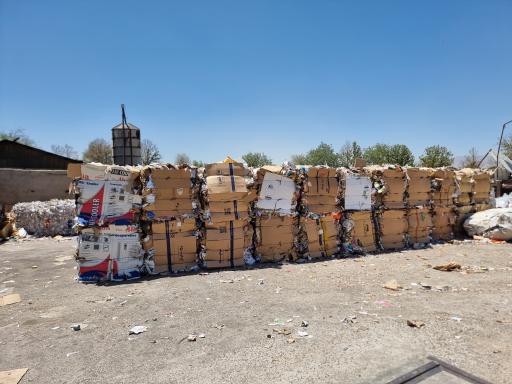 عکس آراز کارتن سلحشور شعبه آزادگان