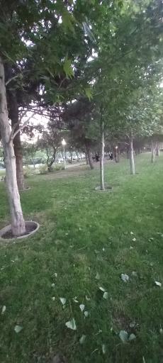 عکس ورودی پارکینگ عمومی شماره ۵ بوستان بهار