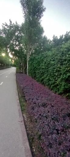 عکس ورودی پارکینگ عمومی شماره ۵ بوستان بهار