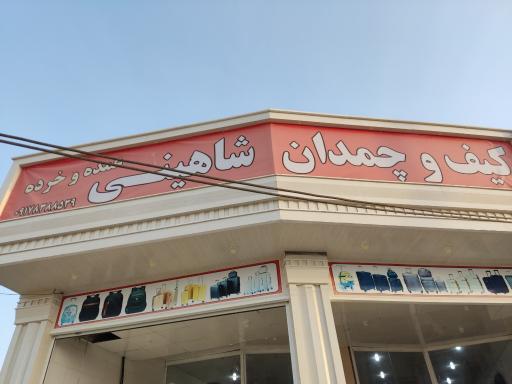 عکس کیف و کفش شاهینی